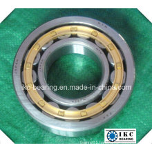 NTN Nj314 Cylindrical Roller Bearing Nj307, Nj308, Nj309, Nj310, Nj312, Nj318, Nj320 E Ecm Ecp Ecj E-Tvp2 M